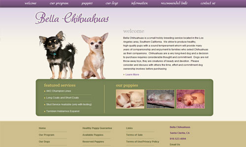 Bella Chihuahuas